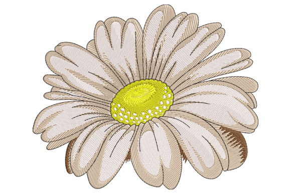Chamomile Flower