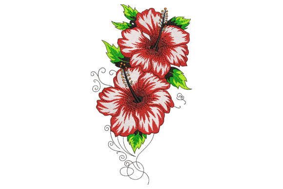 Hibiscus Flower