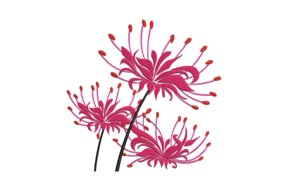 Red Spider Lily